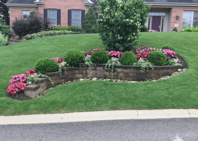 Lawn Care