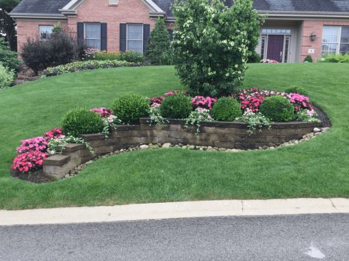 Lawn Care