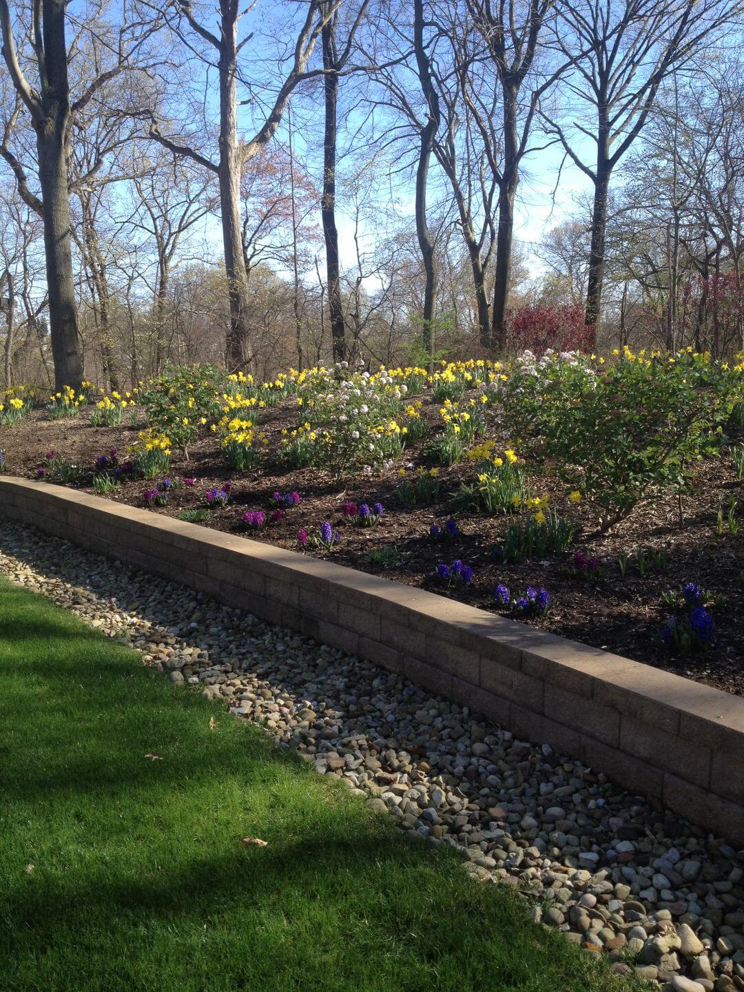 spring-clean-up