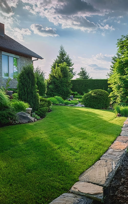 wolfendale-landscaping-about-us-page-example-yard-1